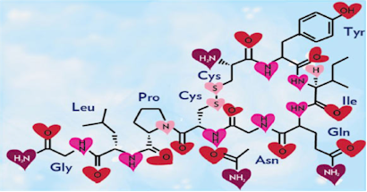 The Seductive Power of the Oxytocin Response Demystified ( Kino )